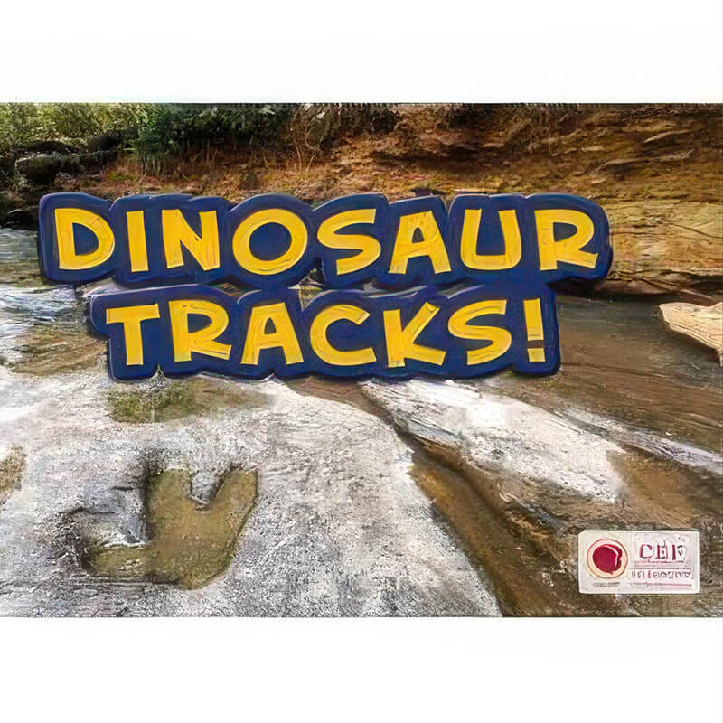 Dinosaur Tracks – Party Pack