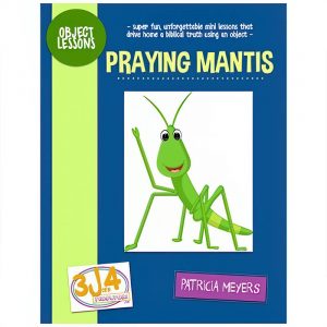 Praying Mantis Object Lessons