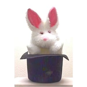 Rabbit in the Hat