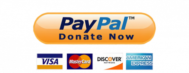 donate-now-paypal-and-cards-button-paypal-logo